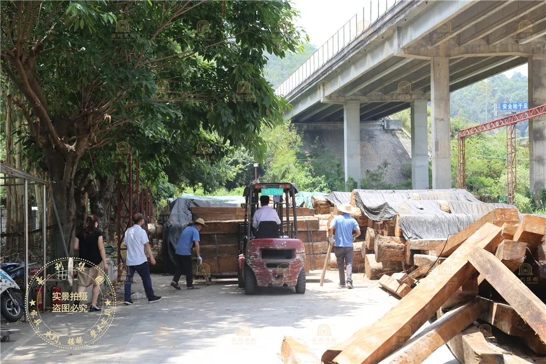 【原木资讯】历时5个月，豪利万方原木储备计划完美收官(图2)