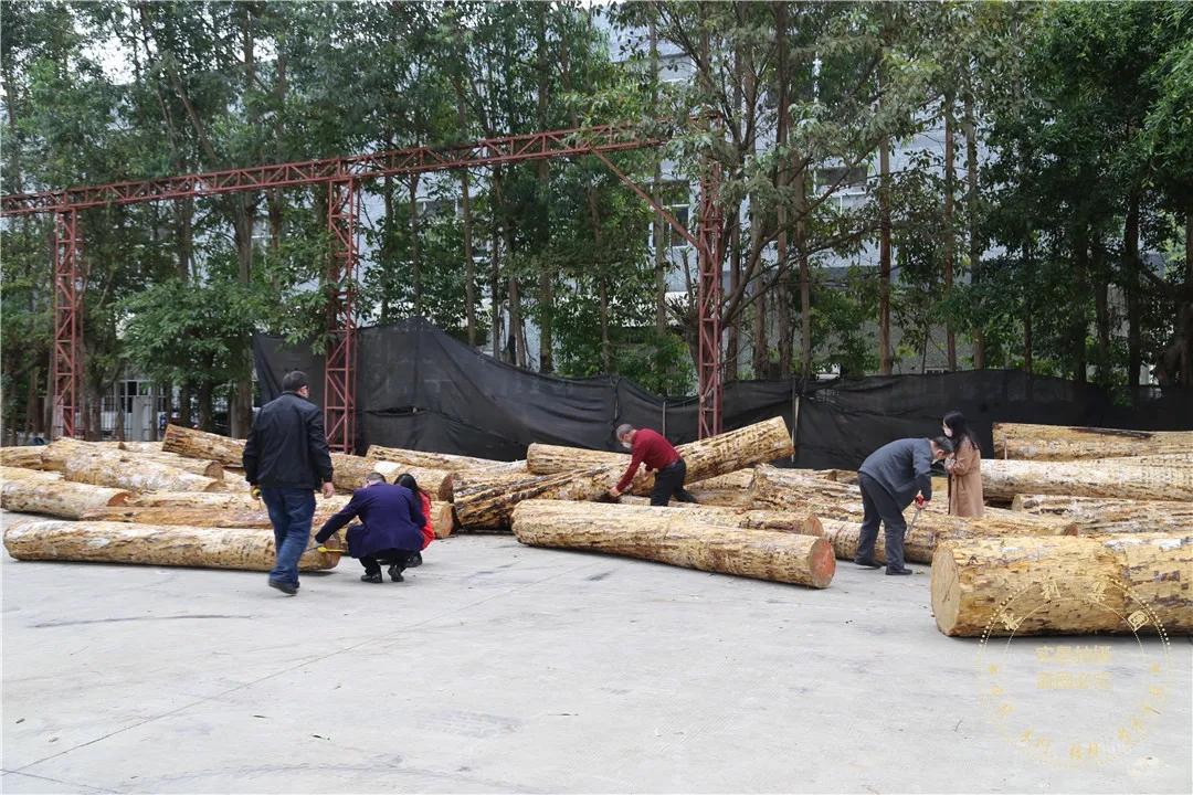 【原木资讯】历时5个月，豪利万方原木储备计划完美收官(图5)